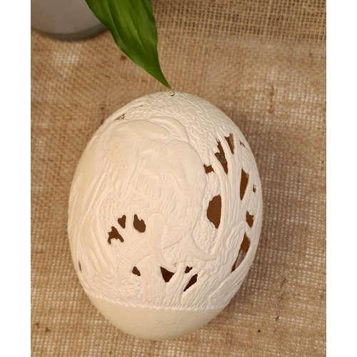 29 - Vintage Hand Carved and Signed Ostrich Egg. Carved with elephants and leaves. Measures 16cm long. No... 