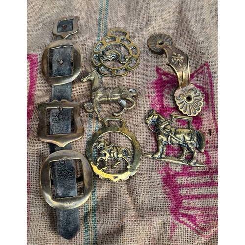 349 - Antique Horse Brass Buckles and Other Brass Items. Shipping is available. Please ask for a quote bef... 