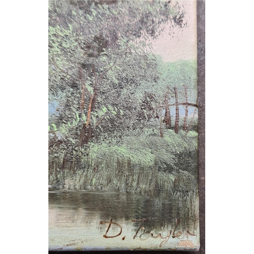 264 - Vintage Amateur Art Oil on Canvas River Scene Signed Lower Right D Taylor. Measures 20cm by 16cm. Sh... 