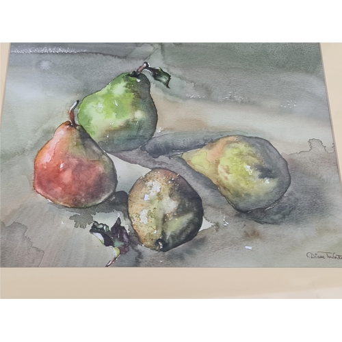 251 - Art Framed Painting Still Life Fruit Pears Watercolour. Measures 55cm by 45cm. Signed Diane Turner l... 