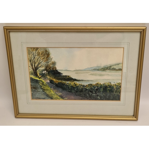 275 - Vintage Art Watercolour Painting Framed Signed Lower Left D Warren 1988. Believed to be Dot Warren f... 