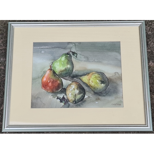 281 - Art Framed Painting Still Life Fruit Pears Watercolour. Measures 55cm by 45cm. Signed Diane Turner l... 