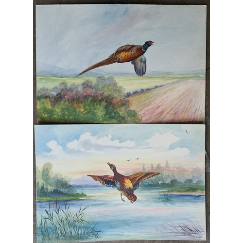 285 - Watercolour Painting on Card 2 Bird Paintings Signed Lower Holmes Right. Each measures 39cm by 27cm.... 