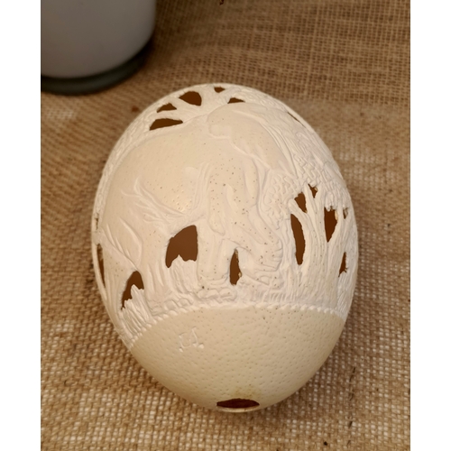 33 - Vintage Hand Carved and Signed Ostrich Egg. Carved with elephants and leaves. Measures 16cm long. No... 