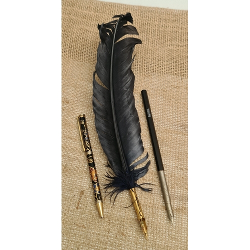 Lot 528       