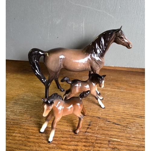 Lot 28        