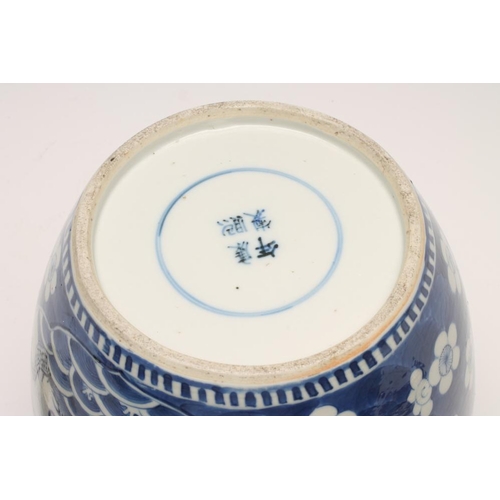 5 - A CHINESE PORCELAIN JAR AND COVER of ovoid form, painted in underglaze blue with two panels, one of ... 