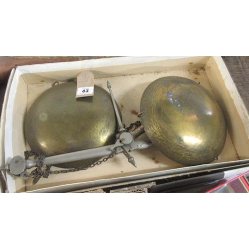 Lot 43        