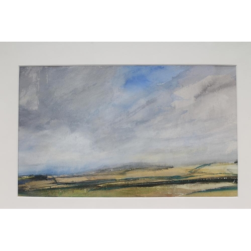 439 - KATHERINE HOLMES (b.1962), Boss Moor Yorkshire, watercolour with scratching out, signed and inscribe... 