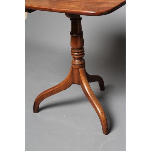 747 - A GEORGIAN MAHOGANY TRIPOD TABLE, early 19th century, the rounded oblong snap top raised on ring and... 