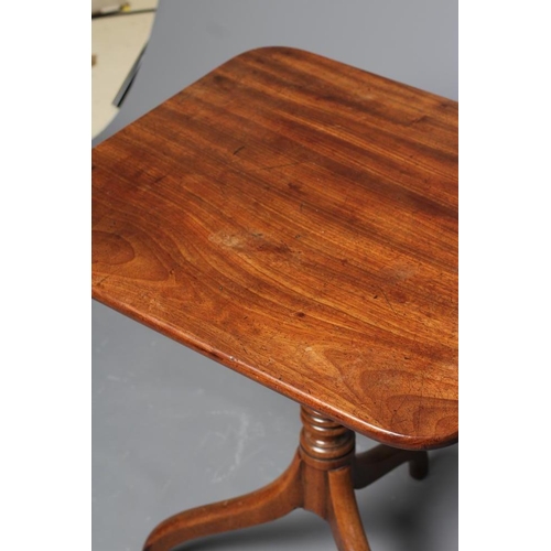 747 - A GEORGIAN MAHOGANY TRIPOD TABLE, early 19th century, the rounded oblong snap top raised on ring and... 