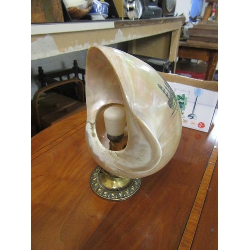 11 - MOTHER OF PEARL SHELL LIGHT FITTING