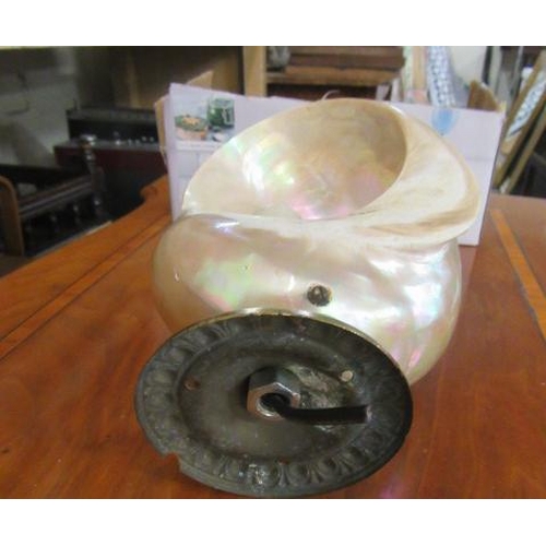 11 - MOTHER OF PEARL SHELL LIGHT FITTING