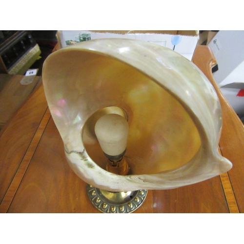 11 - MOTHER OF PEARL SHELL LIGHT FITTING