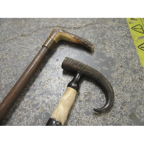 36 - CHAMOIS AND OTHER HORN HANDLED WALKING STICKS