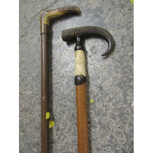 36 - CHAMOIS AND OTHER HORN HANDLED WALKING STICKS