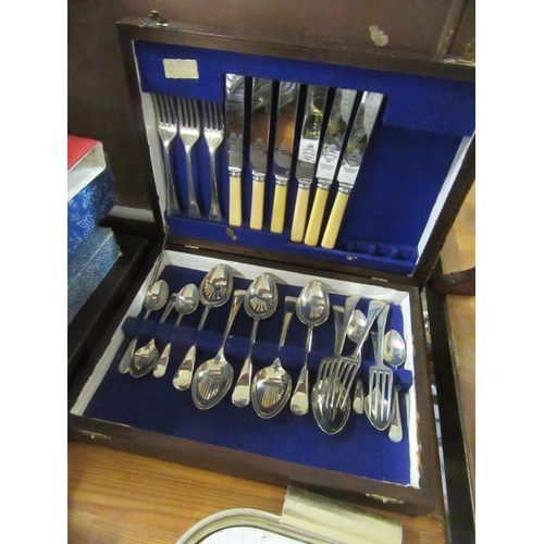 260 - TWO BOXES OF CUTLERY