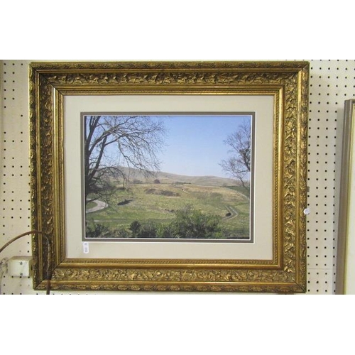 786 - GILT FRAMED PRINT