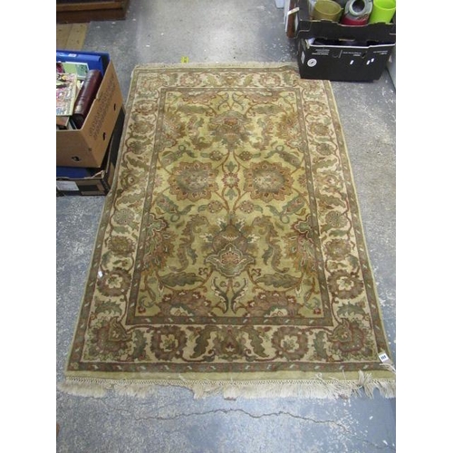 880 - LIGHT GREEN PATTERNED RUG