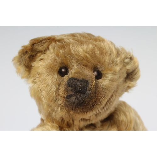 153 - A pre-war Farnell teddy 