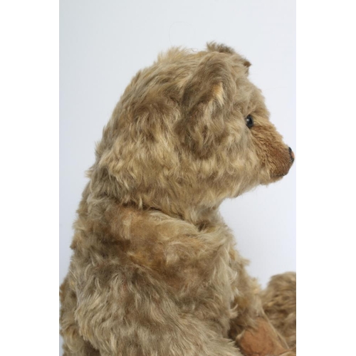 165 - An early German straw filled teddy, possibly Steiff, with button eyes, sewn nose, felt pads, swivel ... 