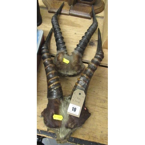 10 - TWO PAIRS OF ANTELOPE HORNS