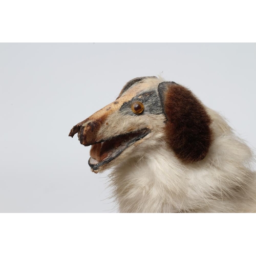 102 - A borzoir dog for a French fashion doll, of wooden construction, with fur covering, felt tongue and ... 