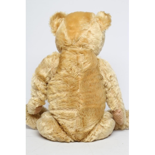 118 - An English teddy bear, possibly Farnell, with clear glass eyes, sewn nose, shaved snout, orange plus... 