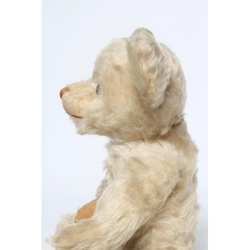 134 - A Farnell white mohair teddy, with amber glass eyes, orange sewn nose, jointed body and felt pads, 1... 