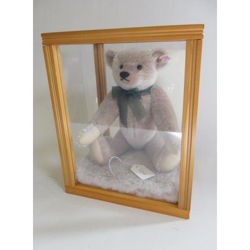 158 - A Steiff Perfekt bear, no. 00420, with certificate, ear button and tag, within perspex case