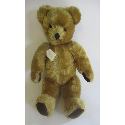 130 - A Pedigree musical teddy, 1950s, amber glass eyes, sewn nose, bells to ears, orange plush, felt pads... 