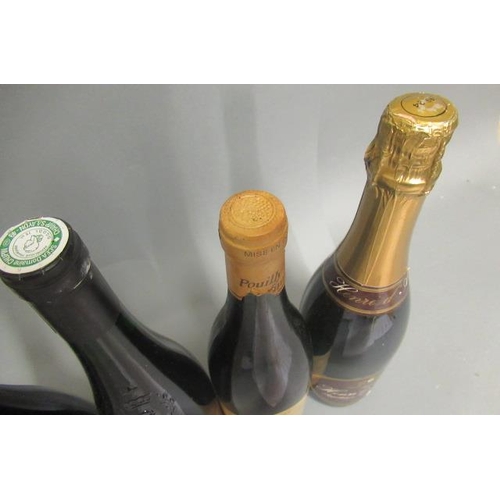 389 - 6 bottles of Loire wine, comprising 1 Henri d'Alran sparkling wine, 1 1995 Pouilly-Fume, Earl Domain... 