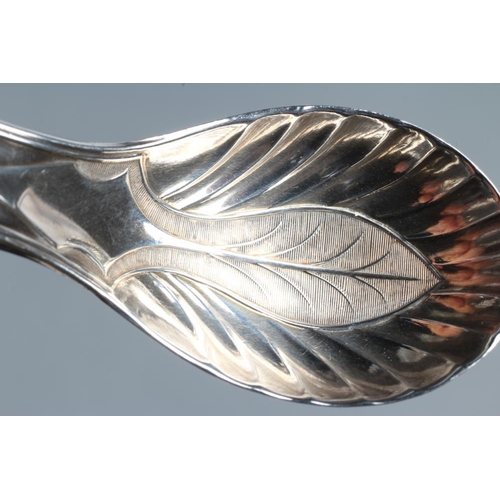 161 - A GEORGE III SILVER CADDY SPOON, maker John Young & Sons, Sheffield 1805, with leaf bowl, the handle... 