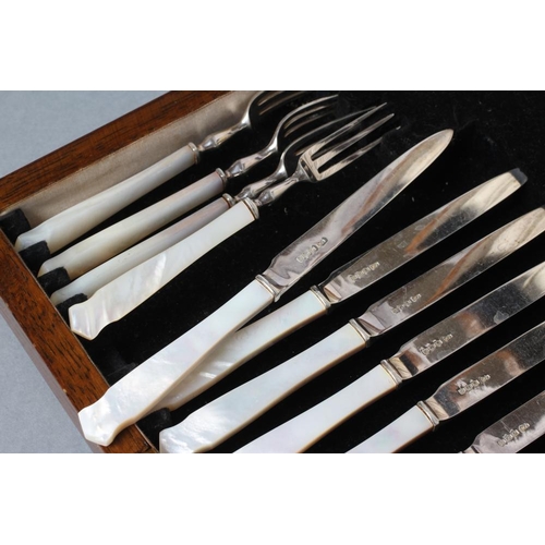 271 - AN EDWARDIAN SET OF EIGHT PAIRS OF FRUIT KNIVES AND FORKS, maker's mark FC, Sheffield 1906, with pla... 