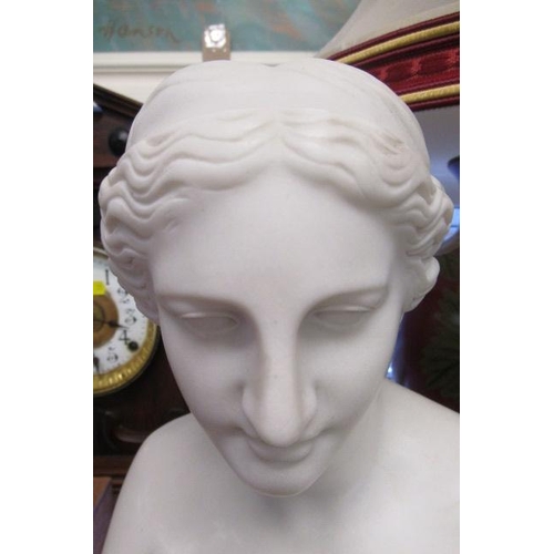 512 - CLASSICAL STYLE FEMALE BUST