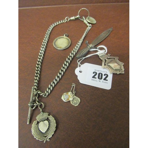 202 - SILVER ALBERT  FOB ETC