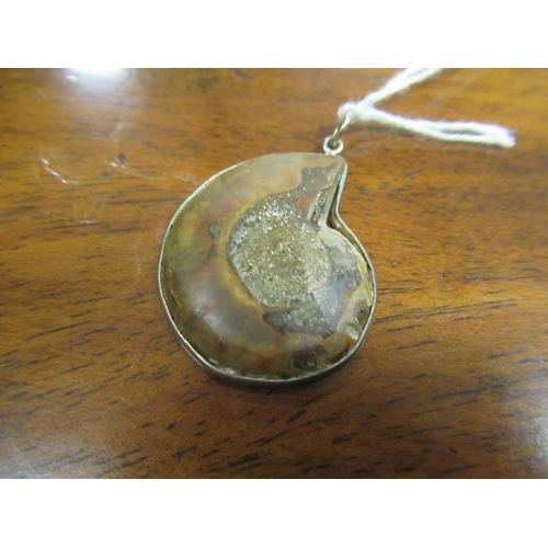 170 - AMMONITE PENDANT