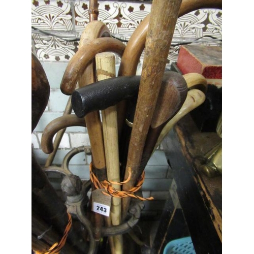 243 - QUANTITY OF WALKING CANES  SOME WITH SILVER FINIALS