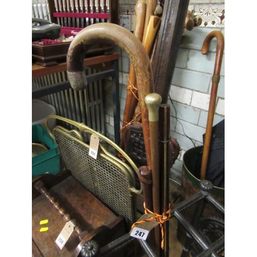 247 - RIDING CROP AND SILVER MOUNTED WALKING STICK ETC