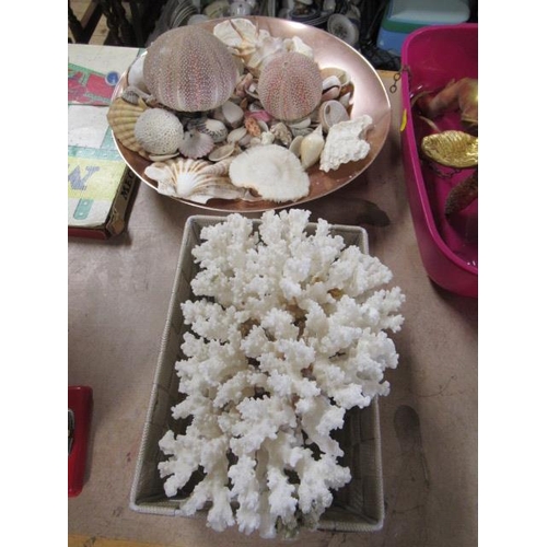 422 - CORAL AND A BOWL OF SHELLS