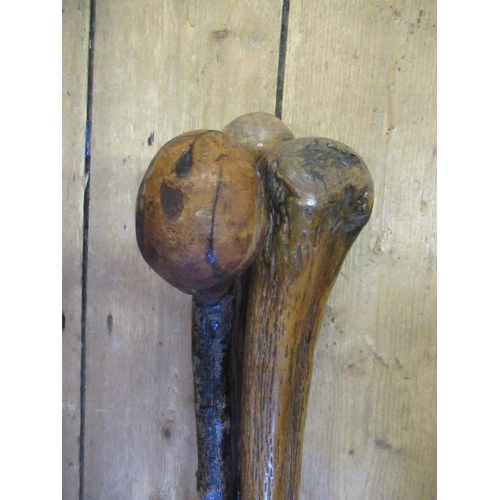 244A - THREE SHILLELAGHS