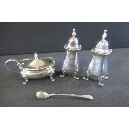 225 - THREE PIECE SILVER CRUET SET