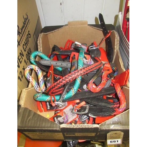 661 - BOX OF DOG COLLARS