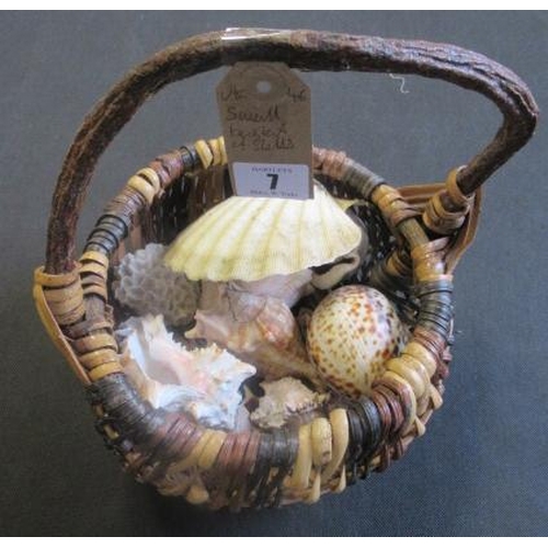 7 - SMALL BASKET OF SEA SHELLS