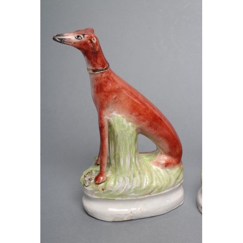 32 - A PAIR OF LATE VICTORIAN STAFFORDSHIRE POTTERY SEATED GREYHOUNDS with free standing fore-legs and mo... 