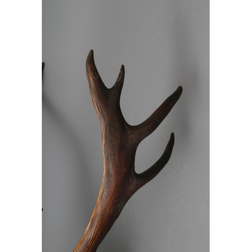 362 - A LARGE TAXIDERMY CANADIAN CARIBOU HEAD AND NECK MOUNT by Emack Bros., Frederickton, New Brunswick, ... 