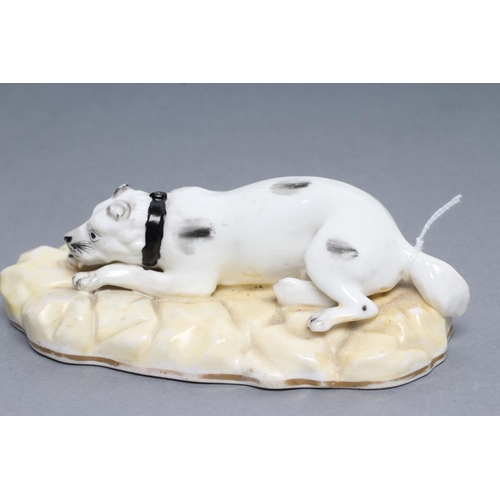 38 - A SAMUEL ALCOCK PORCELLANEOUS MASTIFF, c.1830, modelled recumbent on a gilt lined pale yellow shaped... 