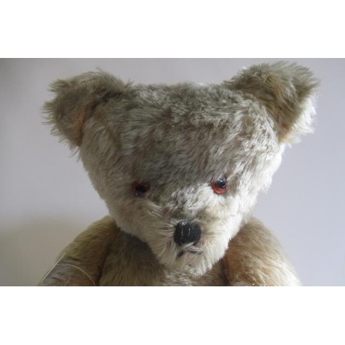 225 - A large old growling teddy bear, with jointed body, amber glass eyes, sewn nose, orange plush and cl... 