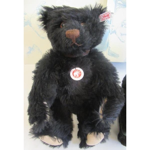 243 - Two boxed Steiff black bears, one 35cm the other 32cm, both with collars (Est. plus 21% premium inc.... 