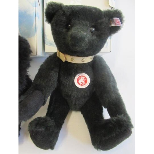 243 - Two boxed Steiff black bears, one 35cm the other 32cm, both with collars (Est. plus 21% premium inc.... 